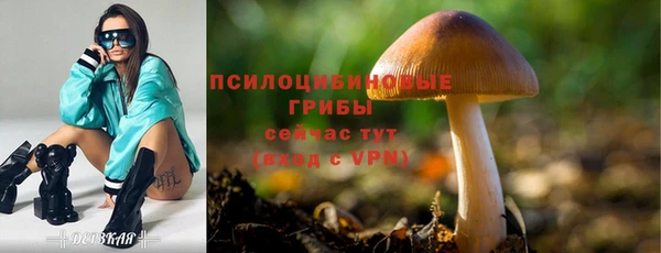 MDMA Premium VHQ Армянск